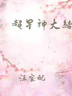 超星神大结局