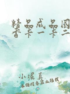 精品成品国色天香卡一卡二摄像头