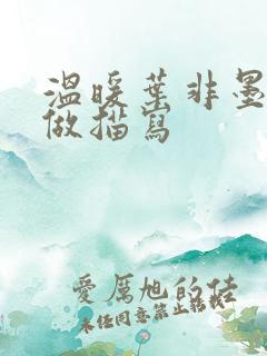 温暖叶非墨车内做描写