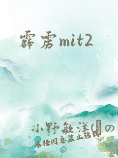 霹雳mit2