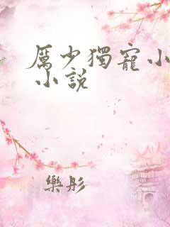 厉少独宠小娇妻 小说