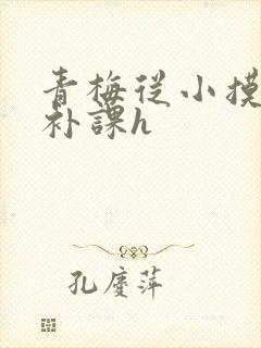 青梅从小摸到大补课h