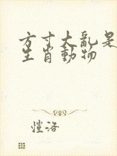 方寸大乱是什么生肖动物