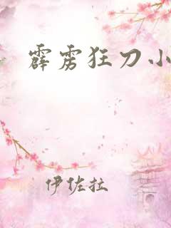 霹雳狂刀小说