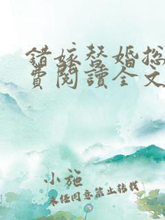 错嫁替婚总裁免费阅读全文