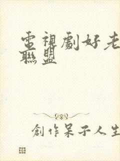 电视剧好老婆大联盟