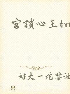 宫锁心玉txt