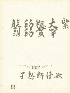 朕的粗大紫红猛烈的贯穿