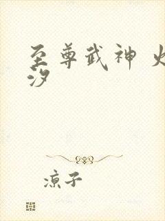 至尊武神 火龙汐