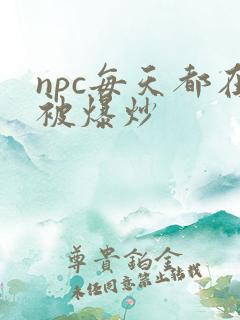 npc每天都在被爆炒