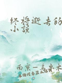 终将逝去的青春小说