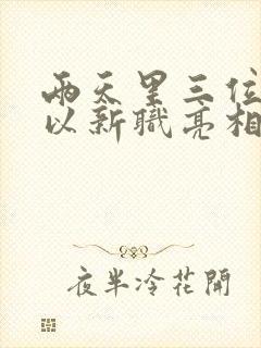 两天里三位将军以新职亮相