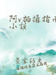 阿v拍摄指南说小说