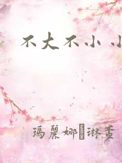 不大不小 小说