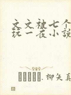 文文被七个男人玩一夜小说