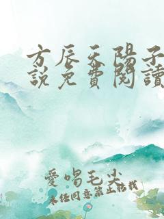 方辰天阳子的小说免费阅读