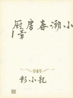 厨房春潮小说第1章