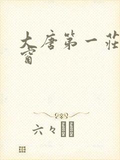 大唐第一庄无弹窗