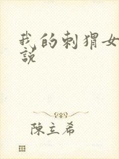 我的刺猬女孩小说