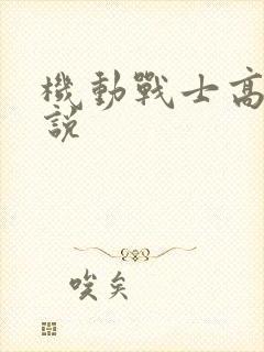 机动战士高达小说