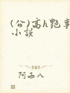 (公)高h艳事小说