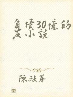 负债30亿的男友小说