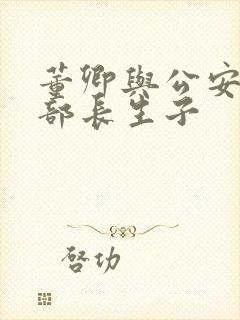 董卿与公安部副部长生子