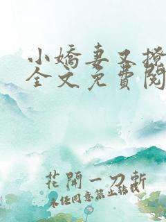 小娇妻又撩又甜全文免费阅读