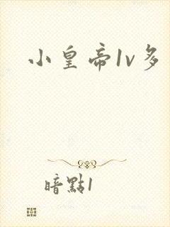 小皇帝1v多