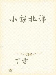 小说北洋