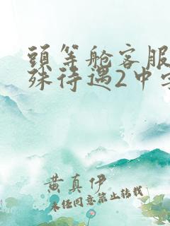 头等舱客服的特殊待遇2中字