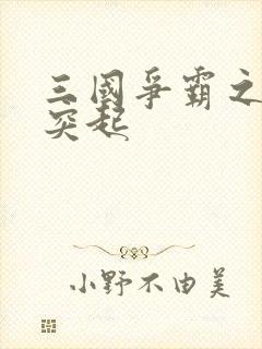 三国争霸之异军突起