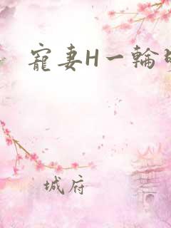 宠妻H一轮明月
