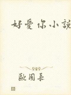 好爱你小说