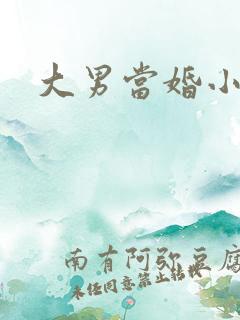 大男当婚小说