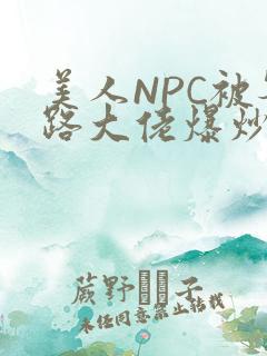 美人NPC被各路大佬爆炒小说