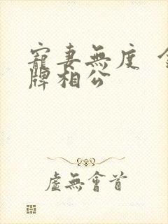 宠妻无度  金牌相公