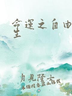 命运之自由的新生