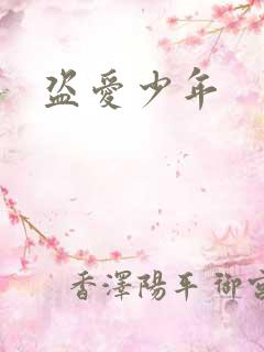 盗爱少年