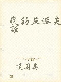 我的反派夫君小说