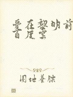 爱在黎明前降落百度云