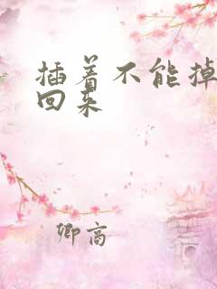 插着不能掉等我回来