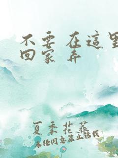 不要 在这里 回家 弄