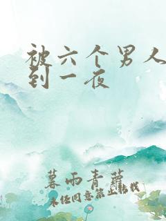 被六个男人躁J到一夜