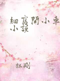 细写开小车车的小说