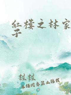 红楼之林家庶长子