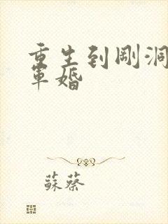 重生到刚洞房的军婚