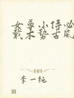 女尊小侍必须佩戴木势古风