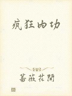 疯狂内功