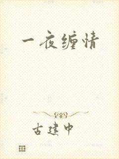 一夜缠情